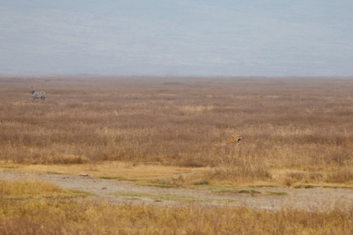 Tanzania26-9228-712.jpg
