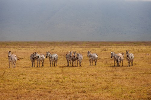 Tanzania26-9266.jpg
