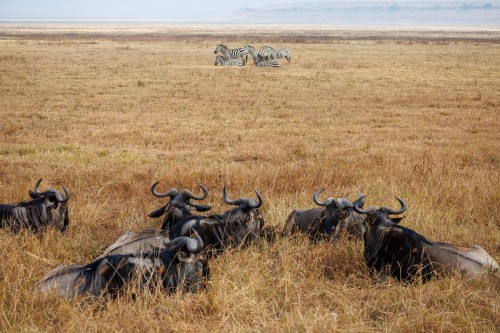 Tanzania26-9273.jpg