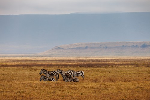 Tanzania26-9278.jpg