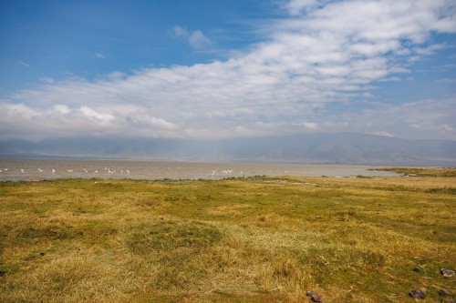 Tanzania26-9314.jpg