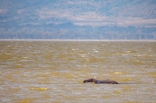 Tanzania26-9321-718.jpg