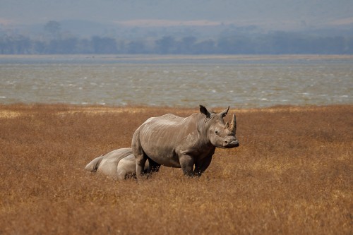 Tanzania26-9346-690.jpg