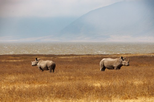 Tanzania26-9363-691.jpg