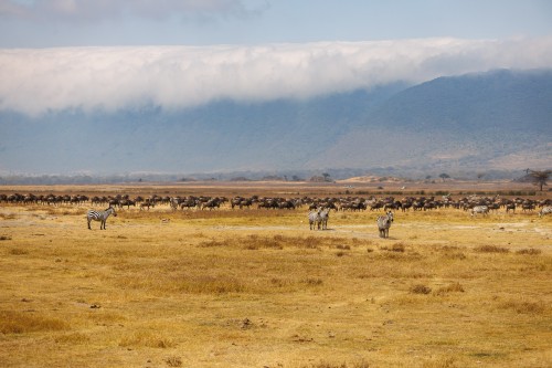 Tanzania26-9372.jpg