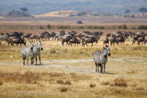 Tanzania26-9375.jpg