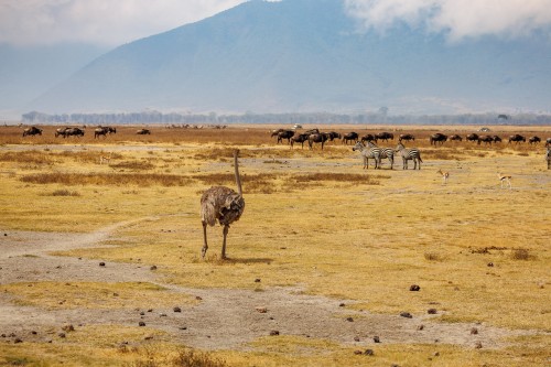 Tanzania26-9378.jpg