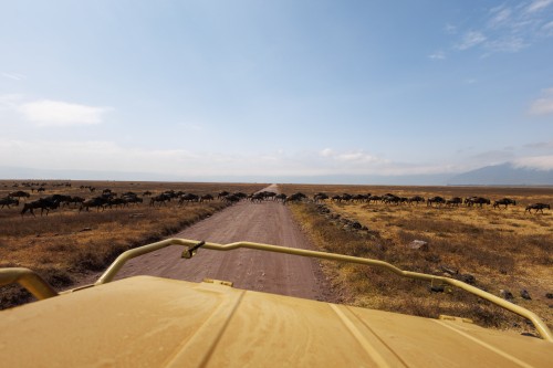 Tanzania26-9391.jpg