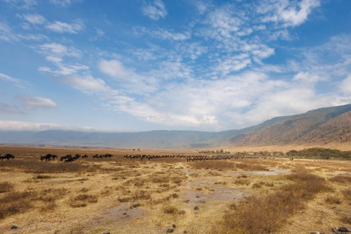 Tanzania26-9393.jpg