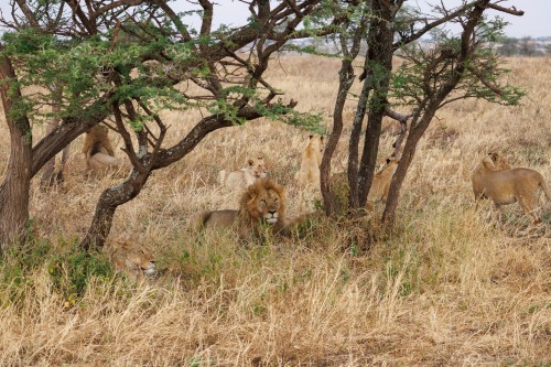 Tanzania26-0024.jpg