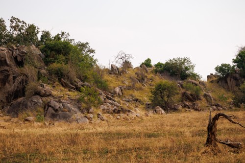 Tanzania26-0085.jpg