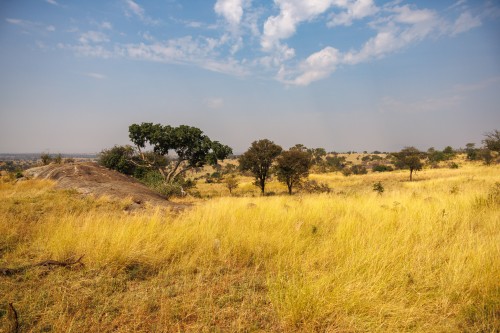 Tanzania26-0105.jpg