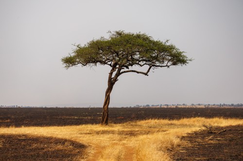 Tanzania26-0185.jpg
