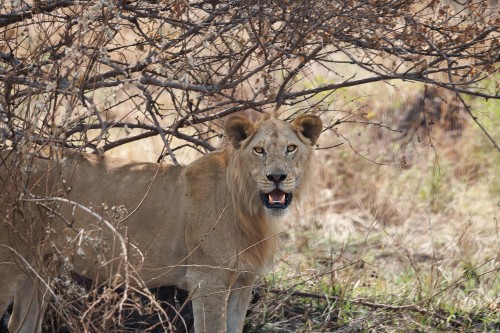 Tanzania26-0243-733.jpg