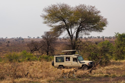 Tanzania26-0278.jpg