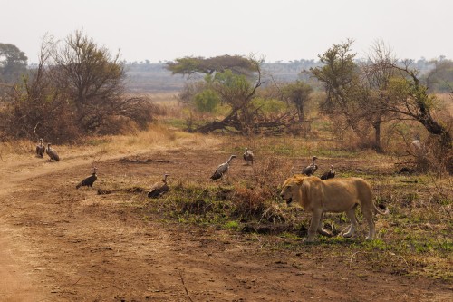 Tanzania26-0287.jpg
