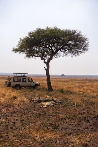 Tanzania26-0342.jpg