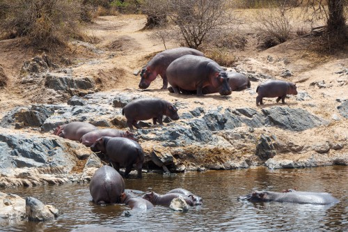 Tanzania26-0383.jpg