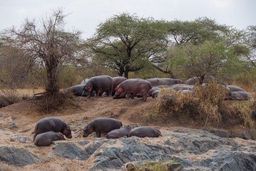 Tanzania26-0398.jpg