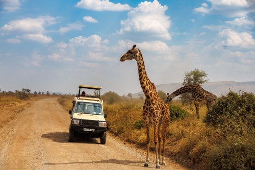 Tanzania26-0418.jpg