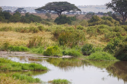 Tanzania26-0433.jpg