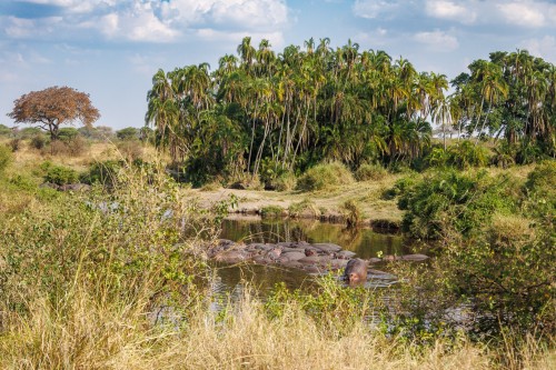 Tanzania26-0446.jpg