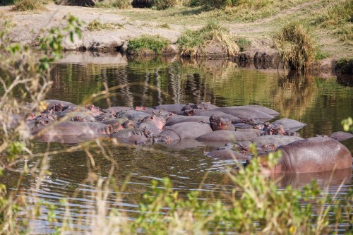 Tanzania26-0447.jpg