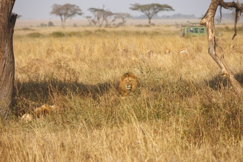 Tanzania26-0452.jpg