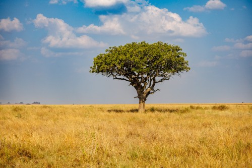 Tanzania26-0453.jpg