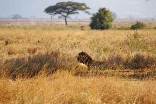 Tanzania26-0462-734.jpg
