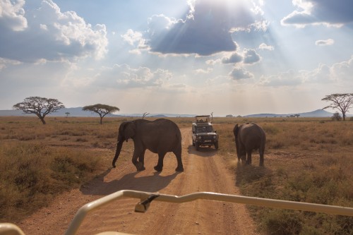 Tanzania26-0483.jpg