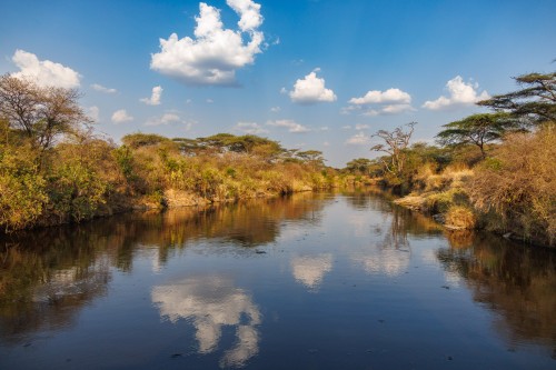 Tanzania26-0515.jpg