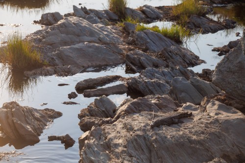 Tanzania26-0519.jpg