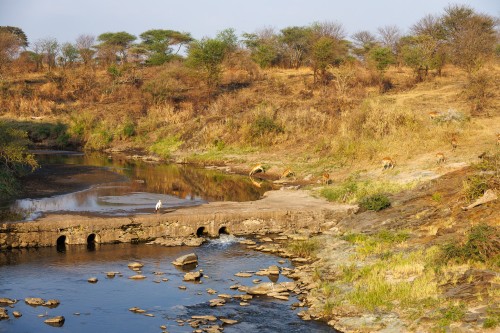Tanzania26-0527.jpg