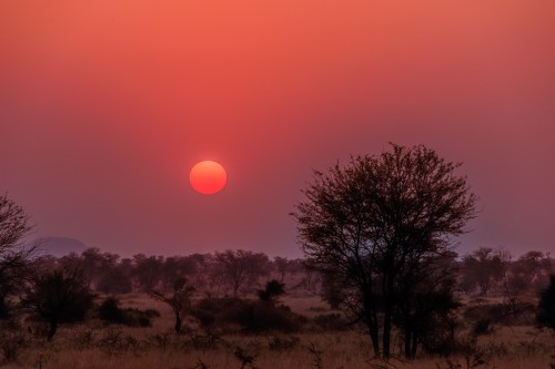 Tanzania26-0530.jpg