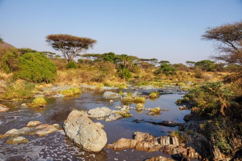 Tanzania26-0601.jpg