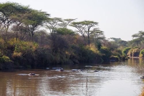Tanzania26-0606.jpg