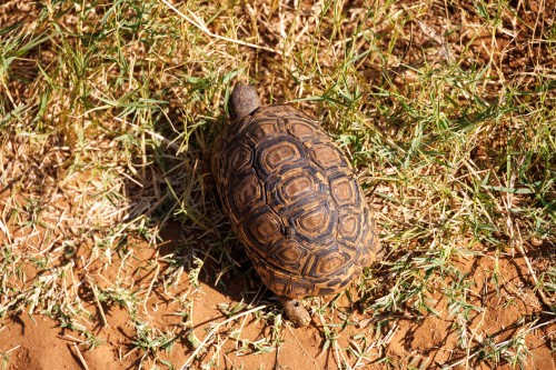 Tanzania26-0662.jpg