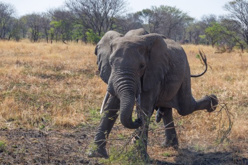 Tanzania26-0669.jpg