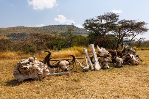 Tanzania26-0684.jpg
