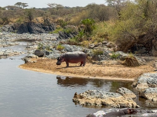 Tanzania26-5306.jpg