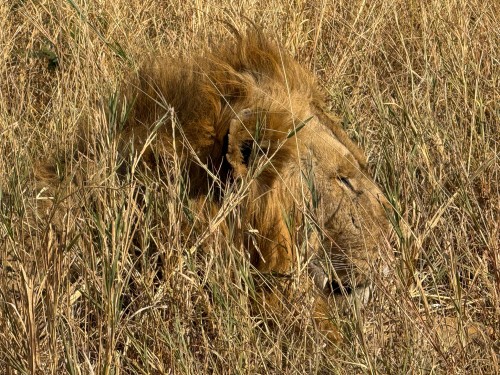 Tanzania26-5404.jpg