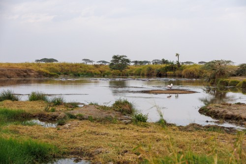 Tanzania26-9658.jpg