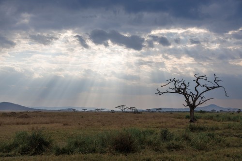 Tanzania26-9664.jpg