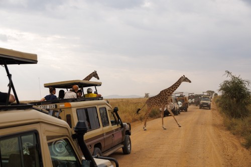 Tanzania26-9668.jpg