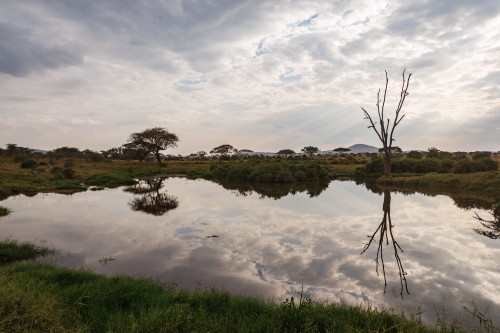 Tanzania26-9694.jpg
