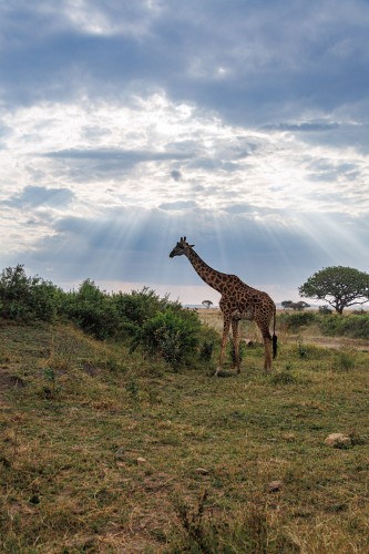 Tanzania26-9698.jpg