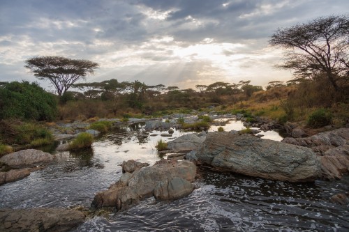 Tanzania26-9706.jpg