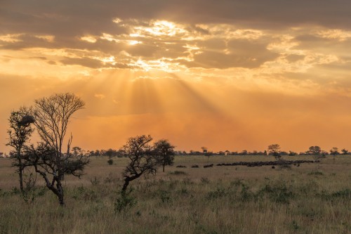 Tanzania26-9710.jpg