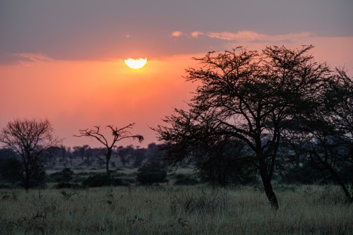 Tanzania26-9712.jpg